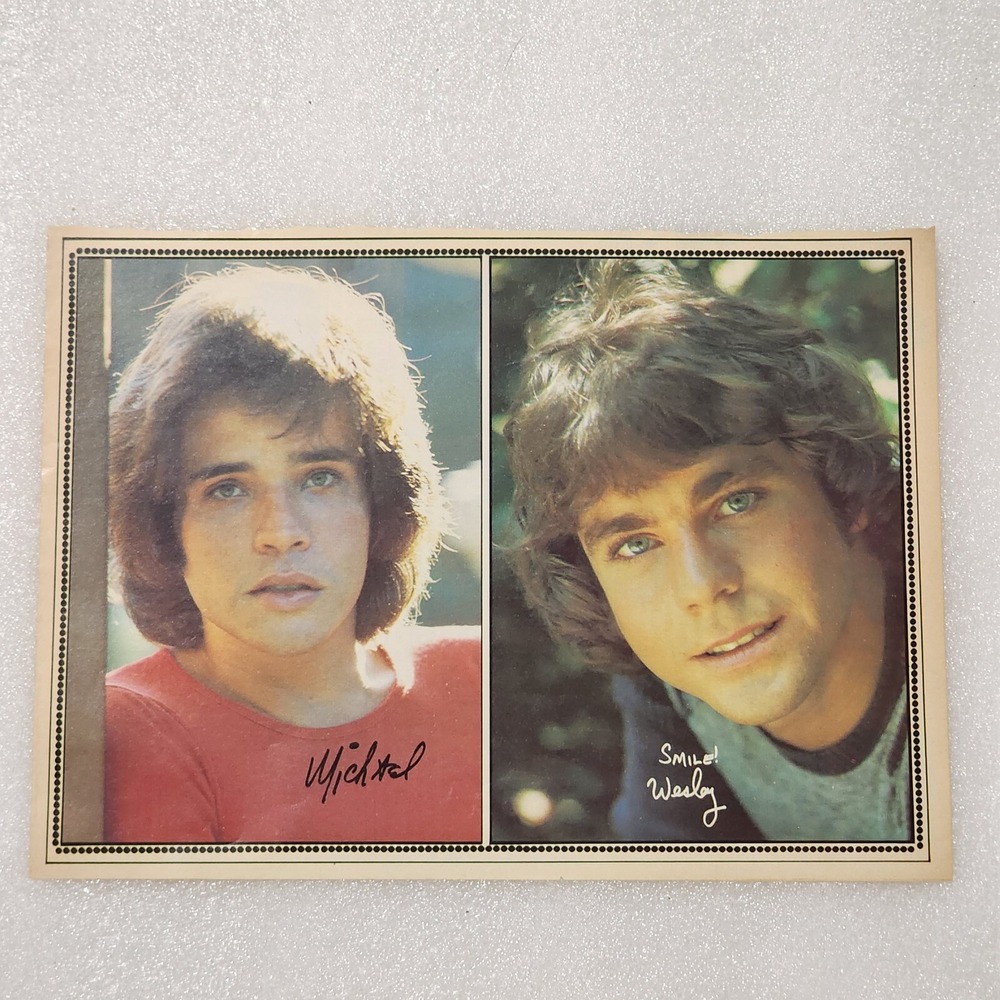 Michael Gray Wesley Eure Vintage Poster Pinup Clipping 8x10 1970s Teen Idols